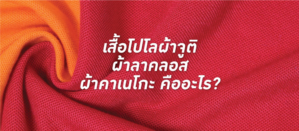 ผ้าคาเนโกะ เสื้อโปโลผ้าจูติ ผ้าลาคลอส คืออะไร?   