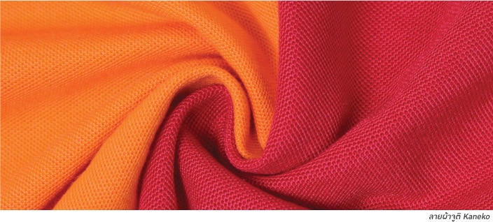 ผ้าคาเนโกะ เสื้อโปโลผ้าจูติ ผ้าลาคลอส คืออะไร?   