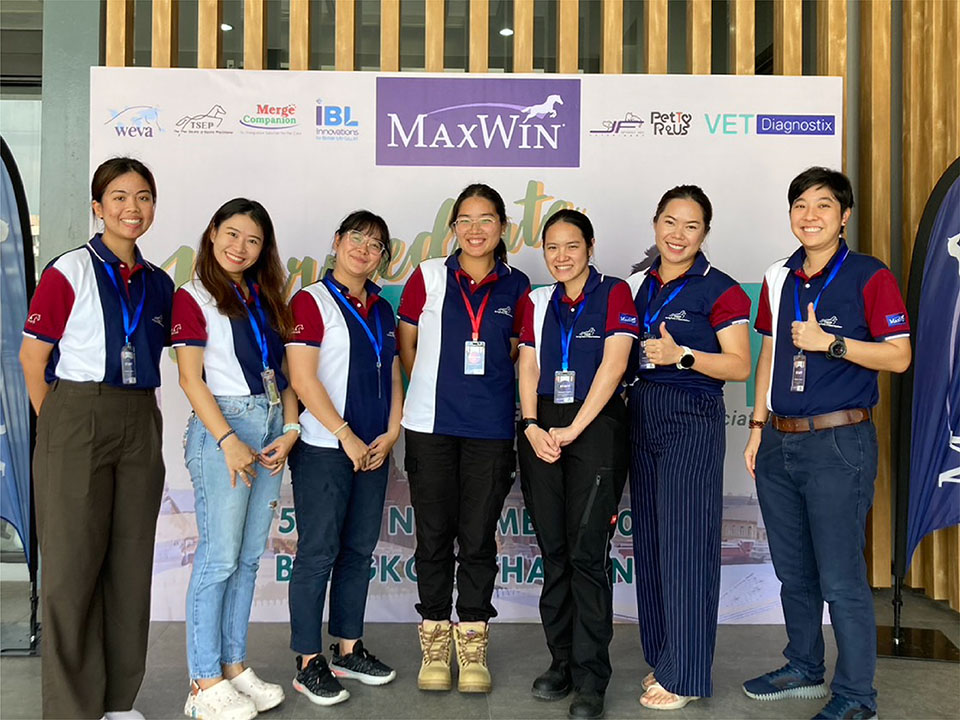 เสื้อสตาฟโปโล