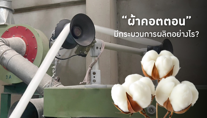 เสื้อยืดผ้าคอตตอน